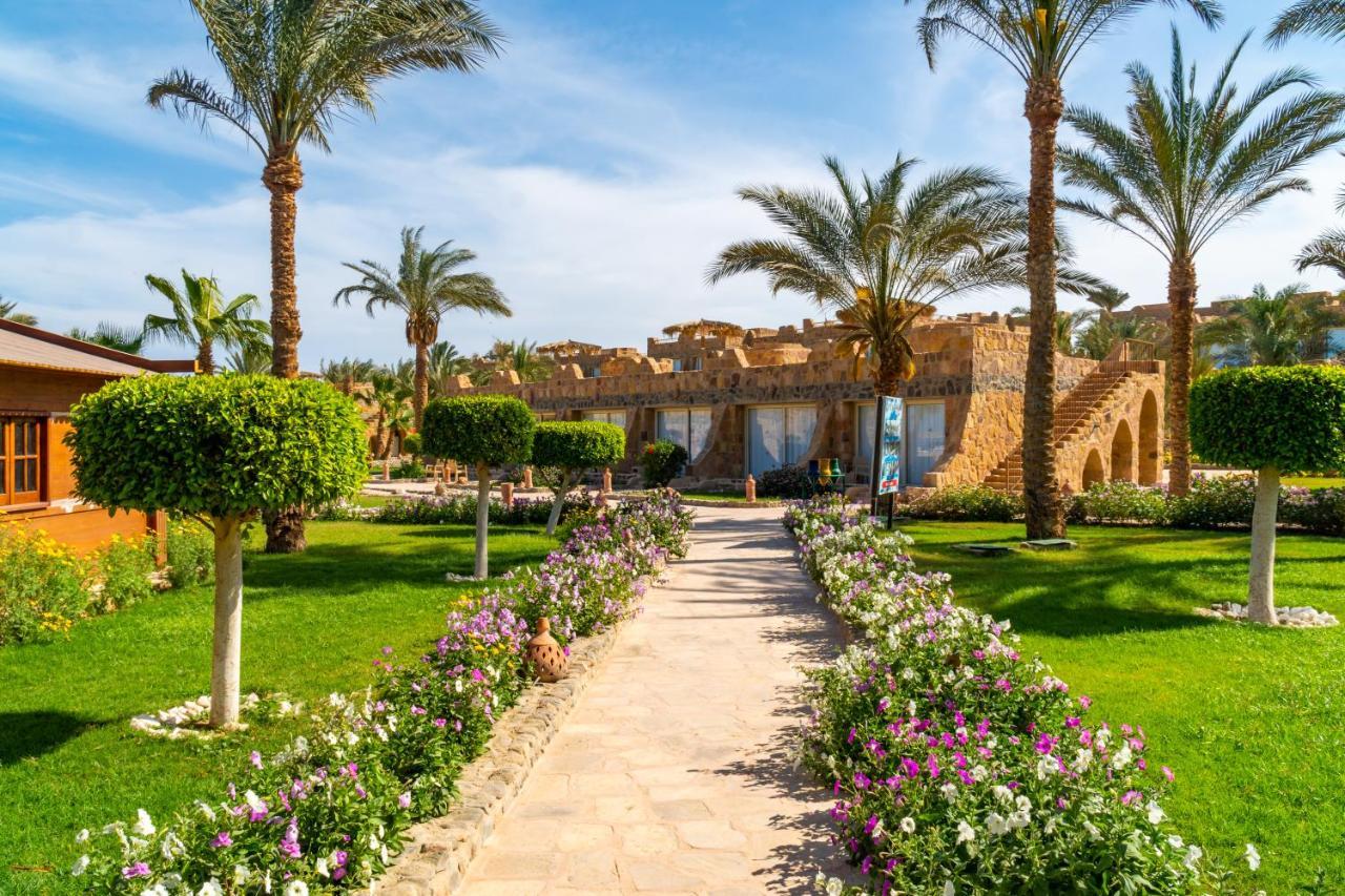 Bungalow Fronte Spiaggia
